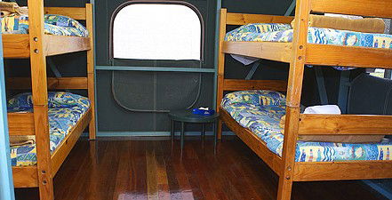 Lady Elliot Island Eco Resort - Accommodation Adelaide 5