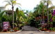 Coconut Palms On The Bay - thumb 1