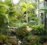 Chamomile Bed and Breakfast - Accommodation Adelaide