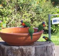 Lamb Island Bed and Breakfast - Accommodation Adelaide