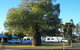 Tambo Mill Motel And Van Park - thumb 4