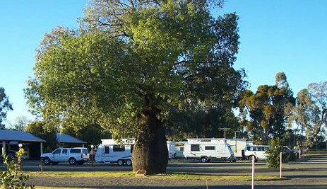 Tambo Mill Motel And Van Park - Accommodation Adelaide 4