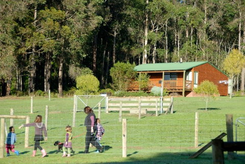 Diamond Forest Farm Stay - Accommodation Adelaide 0