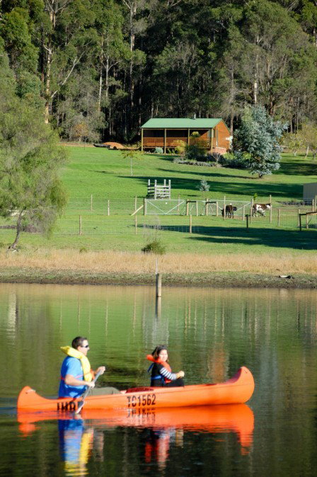 Diamond Forest Farm Stay - Accommodation Adelaide 2