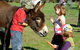 Diamond Forest Farm Stay - thumb 3