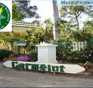 Carmelot Bed  Breakfast - Accommodation Adelaide