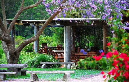 Bago Vineyards - Accommodation Adelaide 1