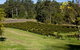 Bago Vineyards - thumb 2