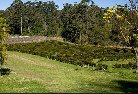 Bago Vineyards - Accommodation Adelaide 2