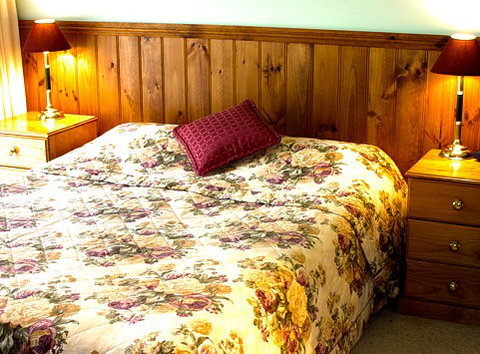 Mountain View Motor Inn And Holiday Lodges - Accommodation Adelaide 1