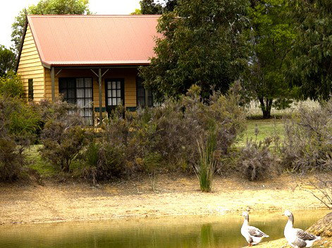 Mountain View Motor Inn And Holiday Lodges - Accommodation Adelaide 2