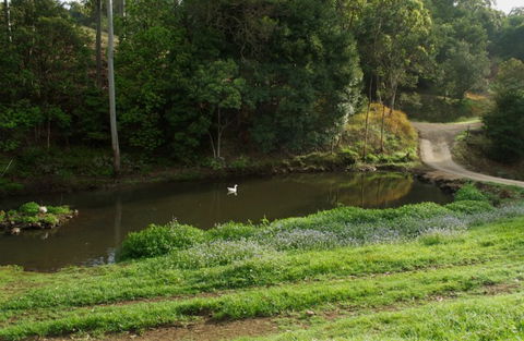 Wattle Gully Retreat - Accommodation Adelaide 4