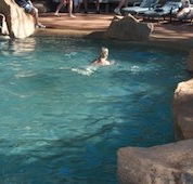 Undara Experience Lava Lodge - Accommodation Adelaide