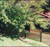Apple Tree Cottage - Accommodation Adelaide