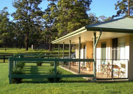 Neds Bed Horse O Tel - Accommodation Adelaide 1