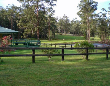 Neds Bed Horse O Tel - Accommodation Adelaide 2