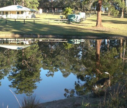 Neds Bed Horse O Tel - Accommodation Adelaide 4