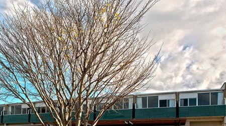 St Helens Bayside Inn - Accommodation Adelaide 1