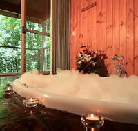Tree Houses Of Montville - Accommodation Adelaide