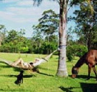 Neds Bed Horse O Tel - Accommodation Adelaide