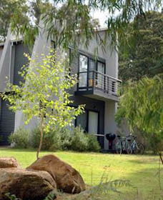 Margarets Forest - Accommodation Adelaide 0