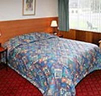 Mt Lyell Motor Inn - Accommodation Adelaide