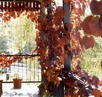 The Vines Motel amp Cottages - Accommodation Adelaide