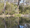 Sanctuary House Resort Motel - Healesville - Accommodation Adelaide 5