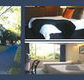 The Albany - Accommodation Adelaide