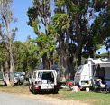 Elliston Caravan Park - Accommodation Adelaide