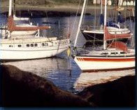 Boat Harbour Motel & Anchorage Restaurant - Accommodation Adelaide 1