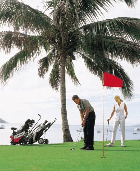 Adventure Island Whitsundays (south Molle Island) - Accommodation Adelaide 2
