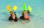 Adventure Island Whitsundays (south Molle Island) - Accommodation Adelaide 5