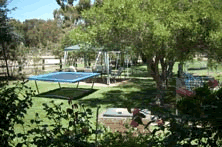 Tarcutta Halfway Motor Inn - Accommodation Adelaide 8