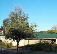 Riverland Motor Inn - Accommodation Adelaide