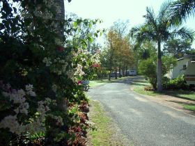 Riverview Caravan Park Gayndah - Accommodation Adelaide 0