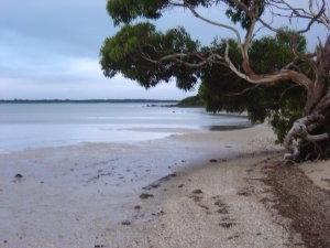 Stanley Lakeside Spa Cabins - Accommodation Adelaide 0