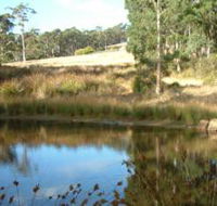 Kiah Nunyara Accommodation - Accommodation Adelaide