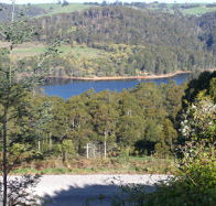 Charlyn Lodge - Accommodation Adelaide