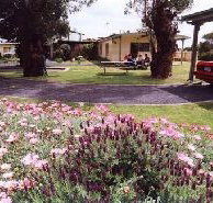 Brigadoon Holiday Units - Accommodation Adelaide