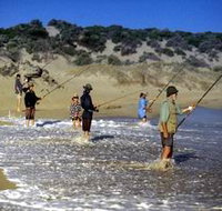 Flippers Beachouse - Accommodation Adelaide