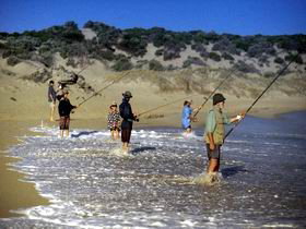 Flippers Beachouse - Accommodation Adelaide 0