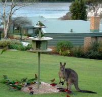 Gipsy Point Lakeside - Accommodation Adelaide