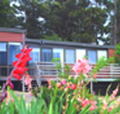 Mount Roland View - Accommodation Adelaide