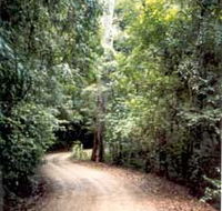Mt Glorious Getaway Cottages And Conference Centre - Accommodation Adelaide
