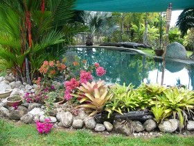 Daintree Wild Bed And Breakfast - Accommodation Adelaide 0