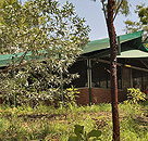 Arnhemland Barramundi Nature Lodge - Accommodation Adelaide