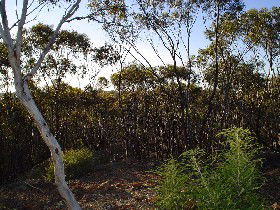 Knebsworth ACT Accommodation Adelaide