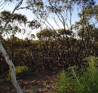 Lions Dryandra Woodlands Village - Accommodation Adelaide
