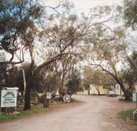Beautiful Valley Caravan Park Cabins - Accommodation Adelaide